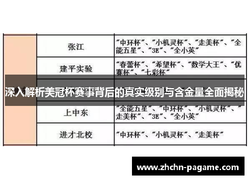 深入解析美冠杯赛事背后的真实级别与含金量全面揭秘