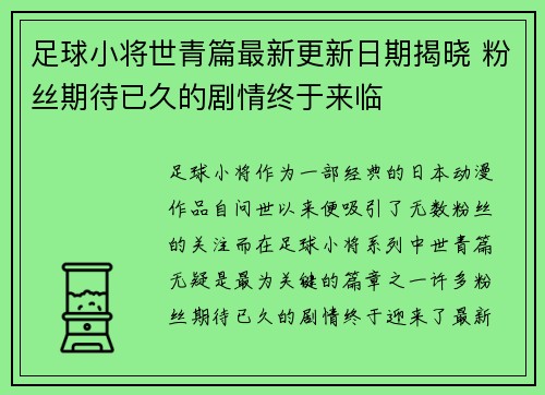 足球小将世青篇最新更新日期揭晓 粉丝期待已久的剧情终于来临