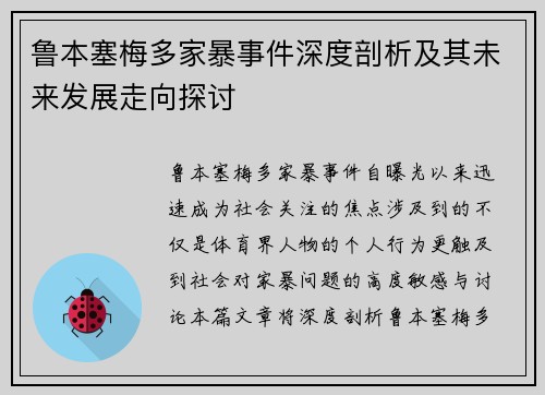 鲁本塞梅多家暴事件深度剖析及其未来发展走向探讨